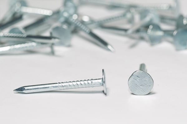 Vinys padidinta galva